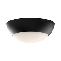 Alora Mood Rubio 11 Inch Flush Mount