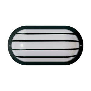 1-Light Poly Oval Caged Outdoor Wall Light
