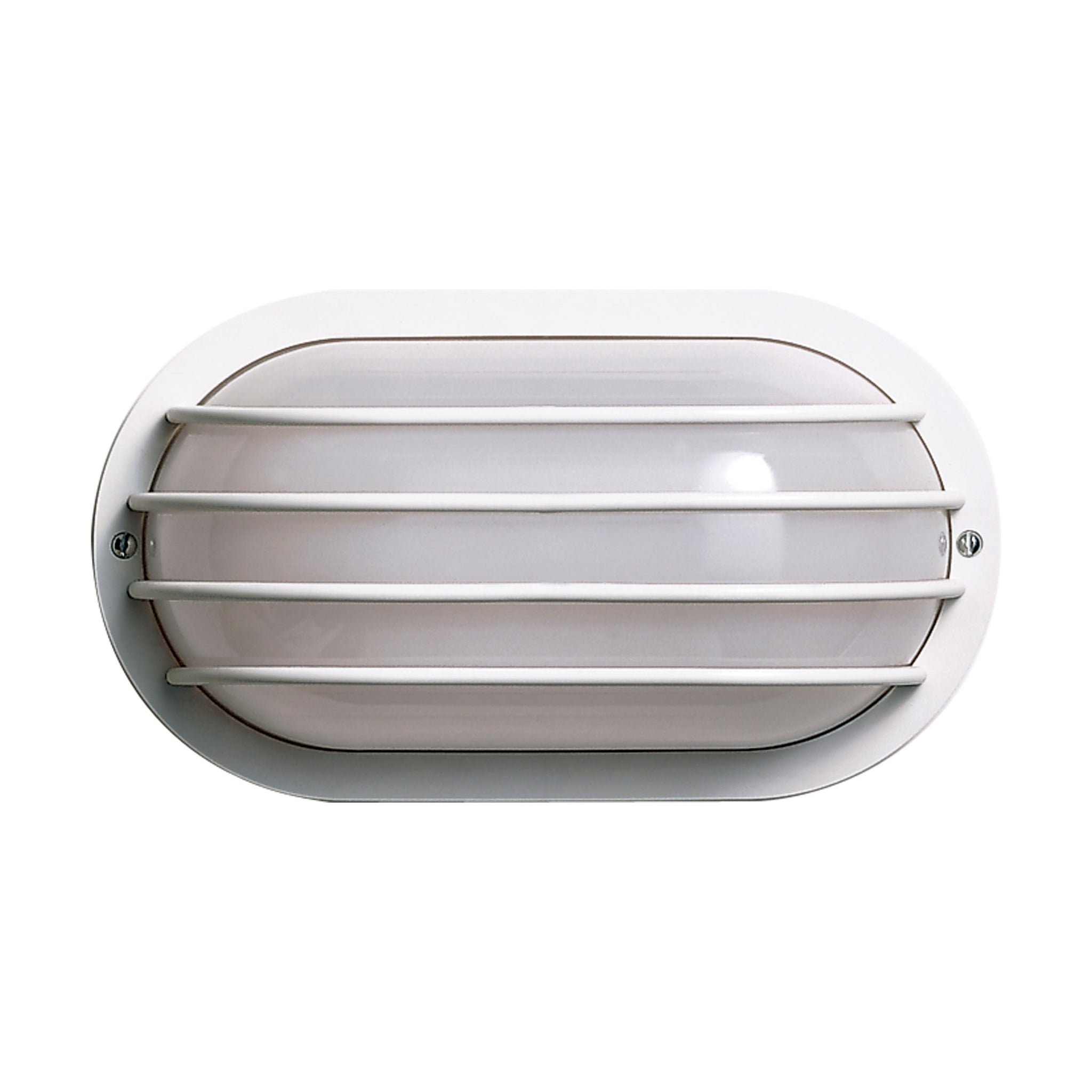 1-Light Poly Oval Caged Outdoor Wall Light