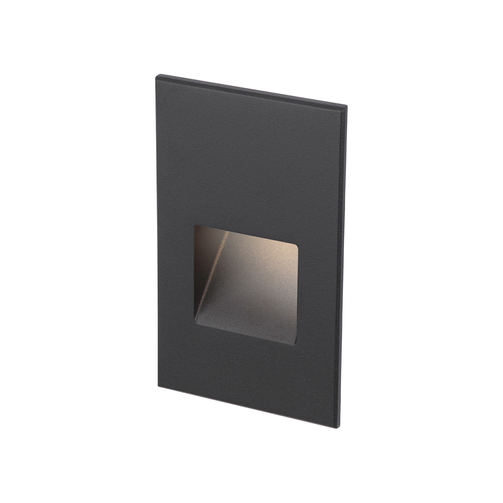 120V LED Vertical Indoor/Outdoor Step and Wall Light