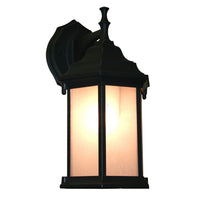 Waterdown Outdoor Wall Light