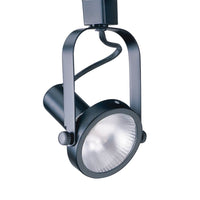 Line Voltage Gimbal Track Cylinder for use with Par 30 Lamps