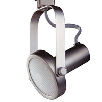 Line Voltage Gimbal Track Cylinder for use with Par 30 Lamps