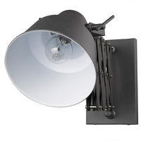 Plexus Sconce