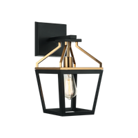 Mavonshire 1-Light Wall Sconce