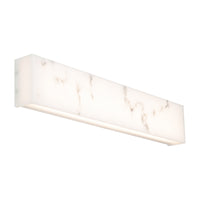 Museo 28" LED Bath Vanity & Wall Light