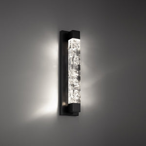 Terra 20" LED Bath Vanity & Wall Light