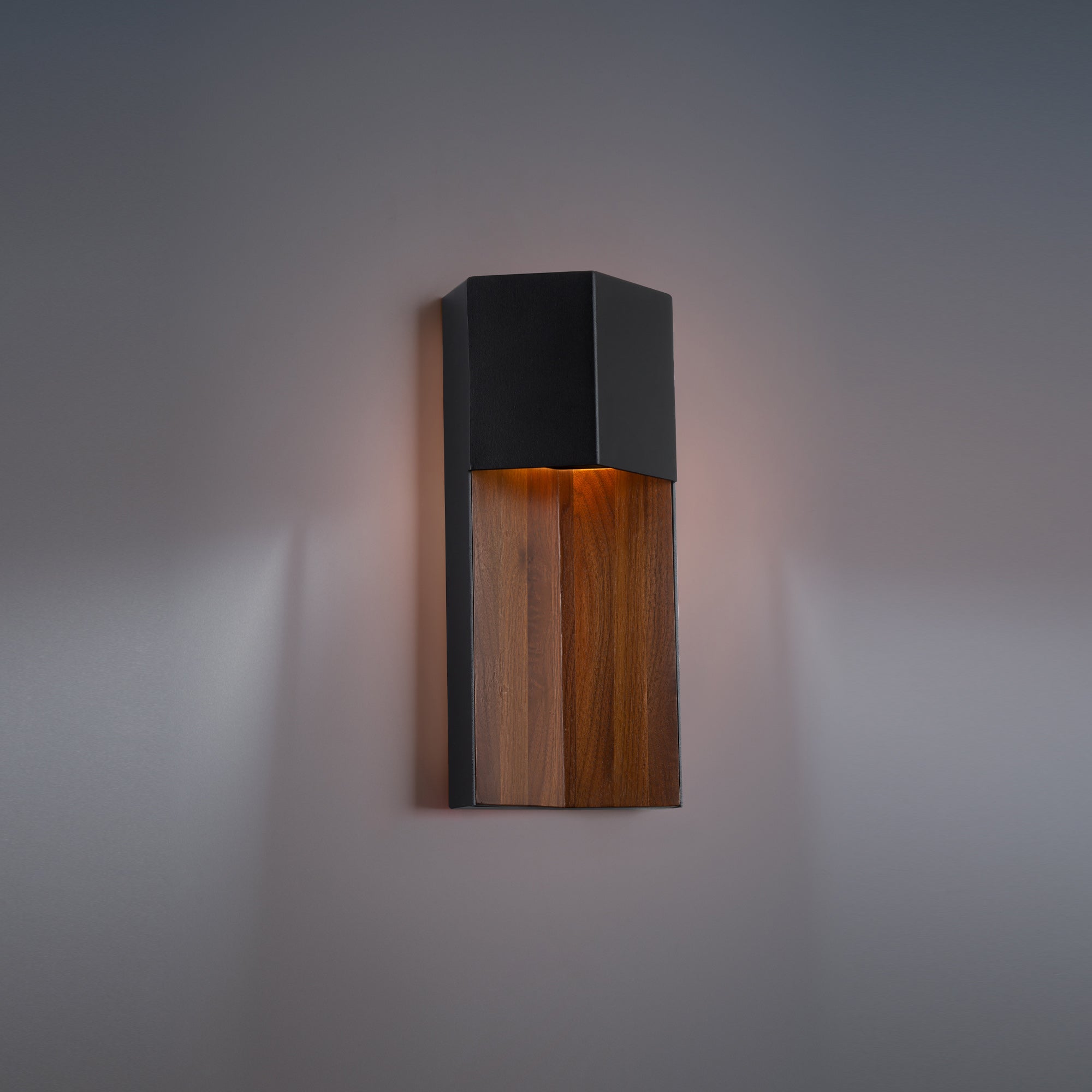 Dusk 14" LED Indoor/Outdoor Wall Light