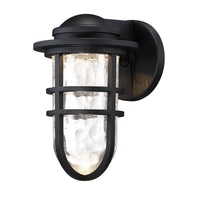 Steampunk 9.5" LED Indoor/Outdoor Wall Light