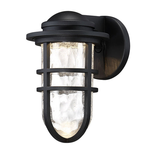 Steampunk 9.5" LED Indoor/Outdoor Wall Light