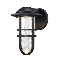 Steampunk 12.8" LED Indoor/Outdoor Wall Light