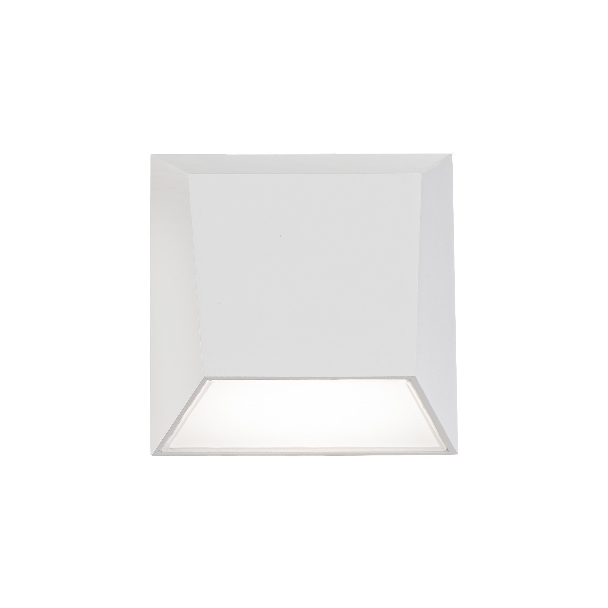 Atlantis 6" LED Indoor/Outdoor Wall Light