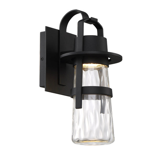Balthus 14" LED Indoor/Outdoor Wall Light