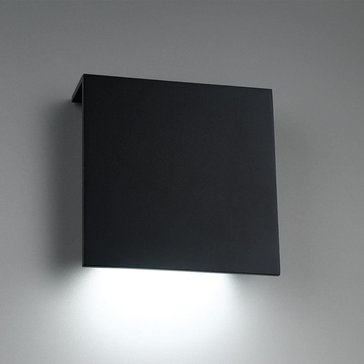 Square 10" LED Indoor/Outdoor Wall Light