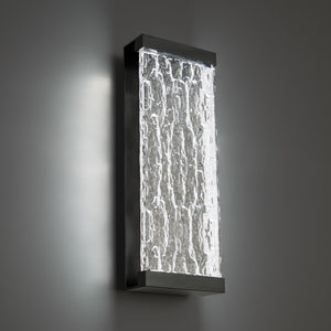 Fusion 20" LED Indoor/Outdoor Wall Light