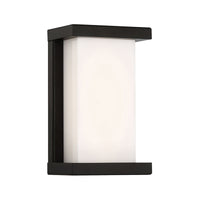 Case 9" LED Indoor/Outdoor Wall Light