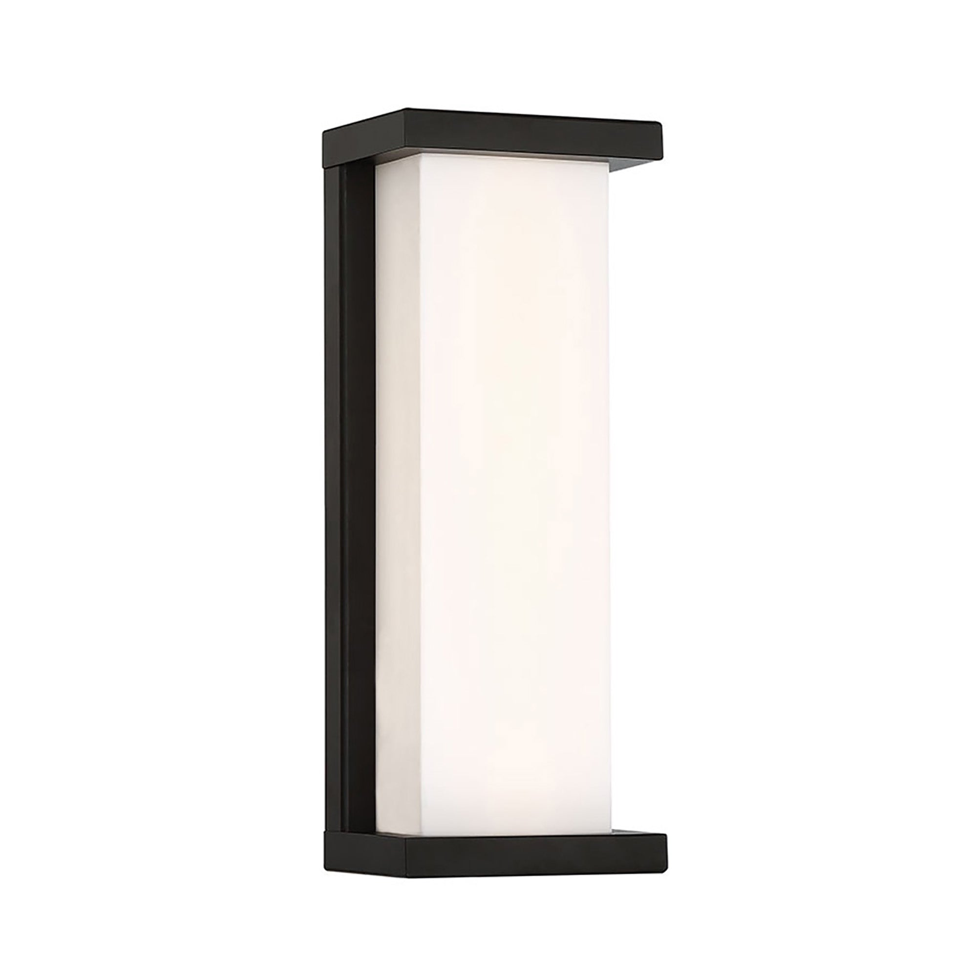 Case 14" LED Indoor/Outdoor Wall Light