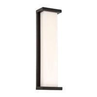 Case 20" LED Indoor/Outdoor Wall Light