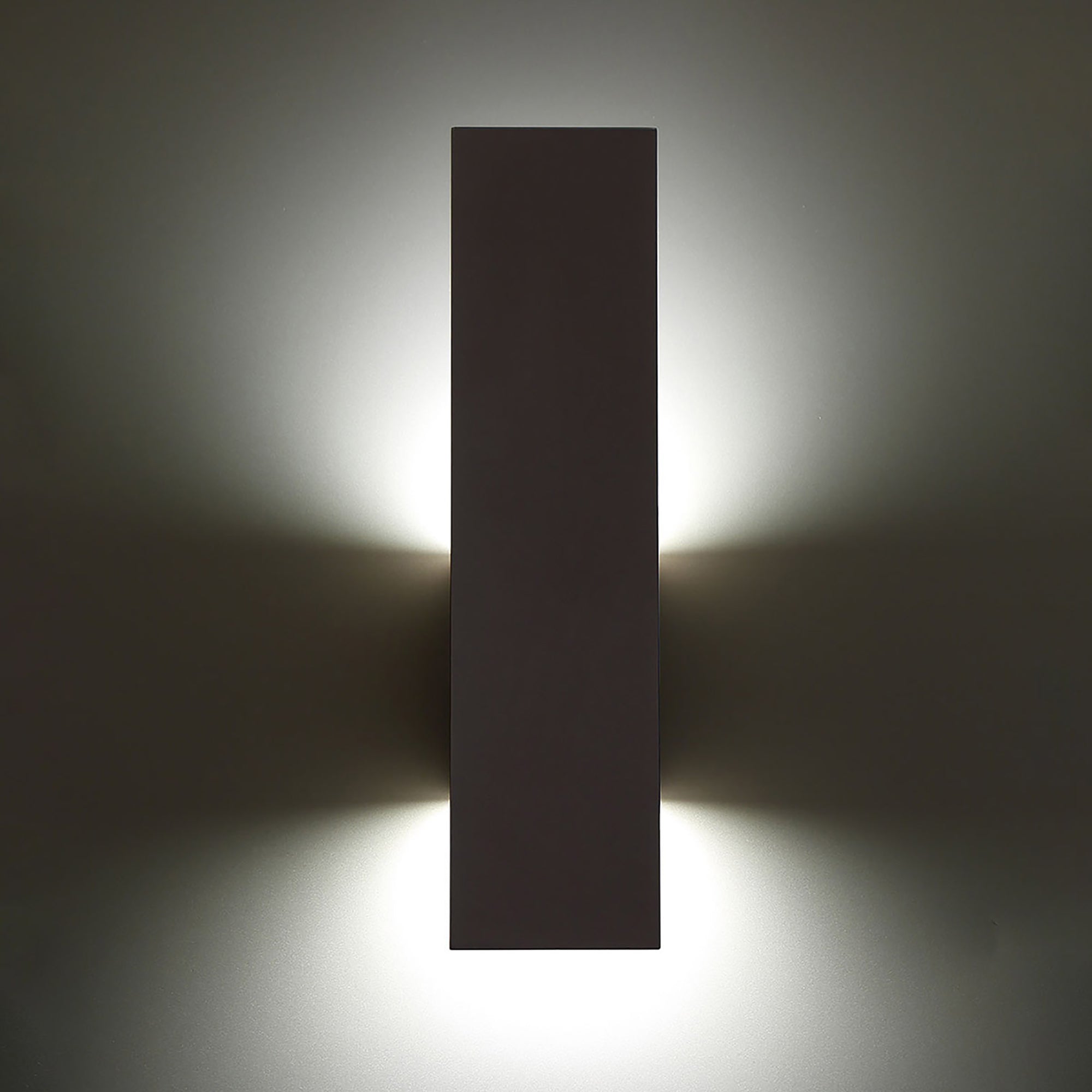 Icon 20" LED Indoor/Outdoor Wall Light