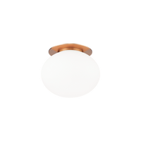 Mayu 6" 1-Light Wall Sconce