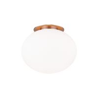 Mayu 8" 1-Light Wall Sconce