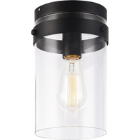 Zale Flush Mount