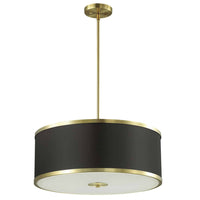Zuri 4 Light 20 Inch Pendant