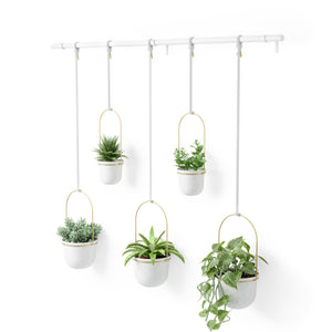 Triflora Hanging Planter (Set of 5)