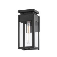 Braydan 1-Light Exterior Wall Sconce
