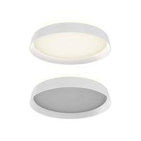 Dual-Light Dimmable Led Flush Mount