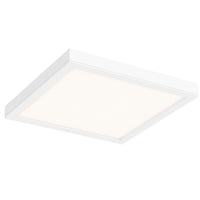 Indoor/Outdoor Led Flush Mount