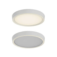 Dual-Light Dimmable Led Flush Mount