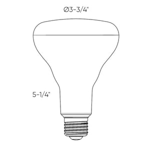 BR30 Pro RGB+CCT Smart LED Bulb