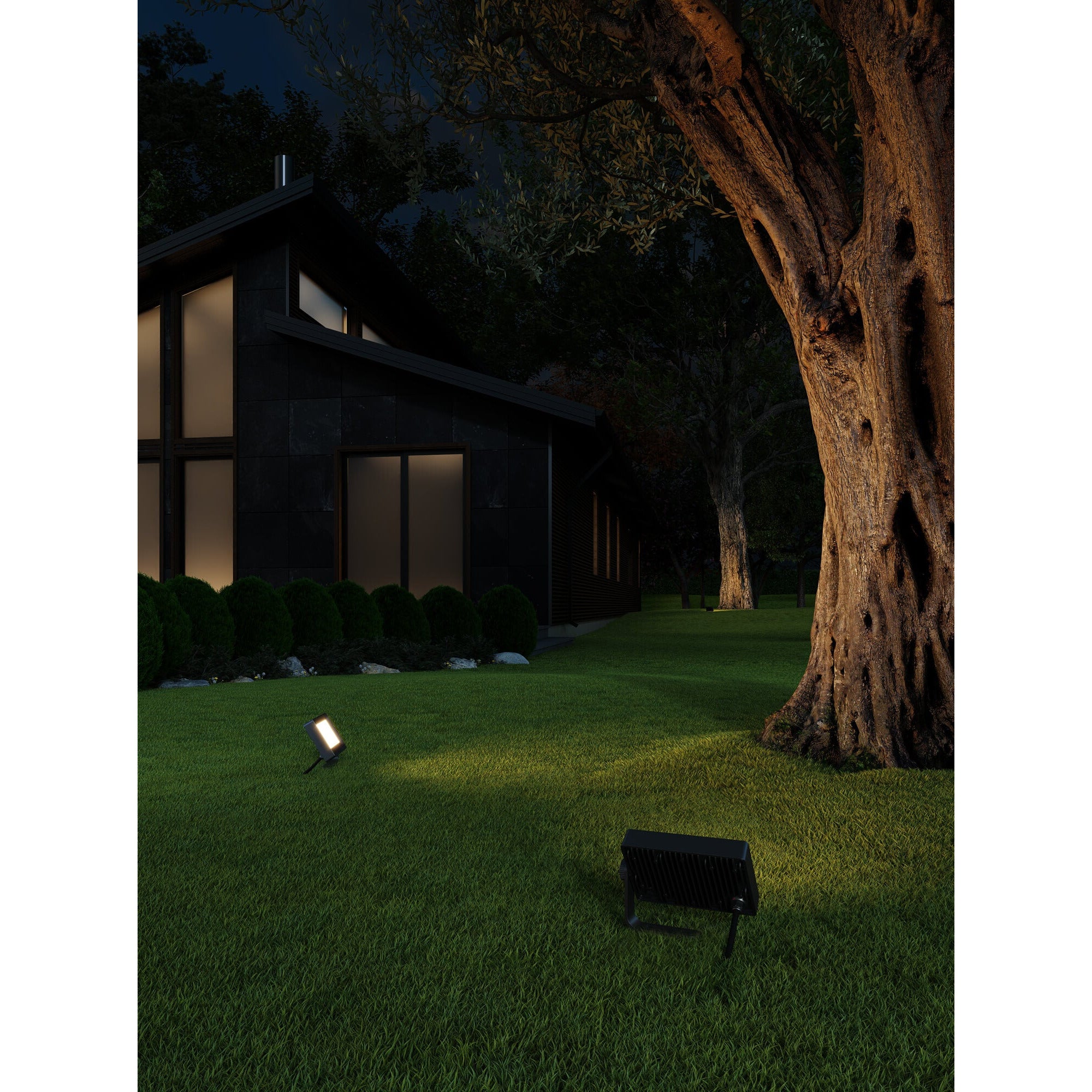 Dals Connect Pro Smart Flood Light