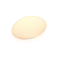 Dals Connect Pro Smart Landscape 18" Rock Light