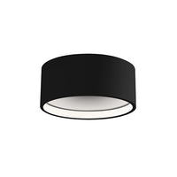 Trenton Outdoor Ceiling Light