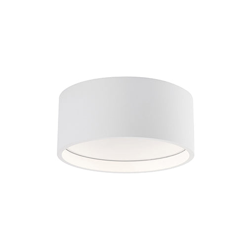 Trenton Outdoor Ceiling Light