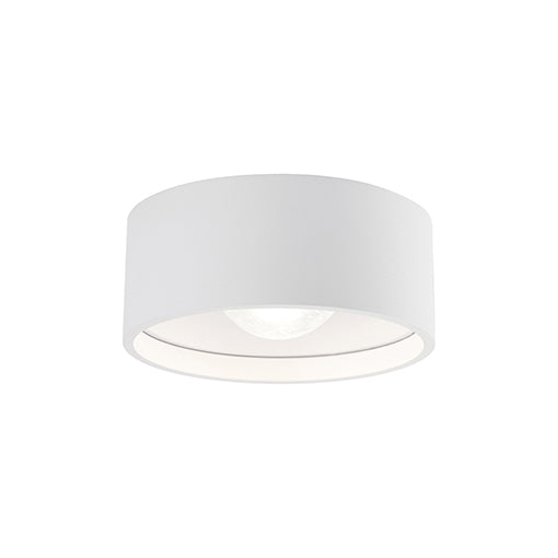 Trenton Outdoor Ceiling Light