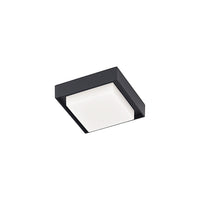 Ridge Outdoor Ceiling Light