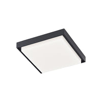 Ridge Outdoor Ceiling Light