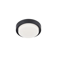 Bailey Outdoor Ceiling Light