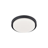 Bailey Outdoor Ceiling Light