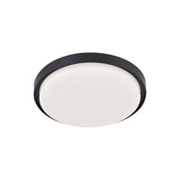Bailey Outdoor Ceiling Light