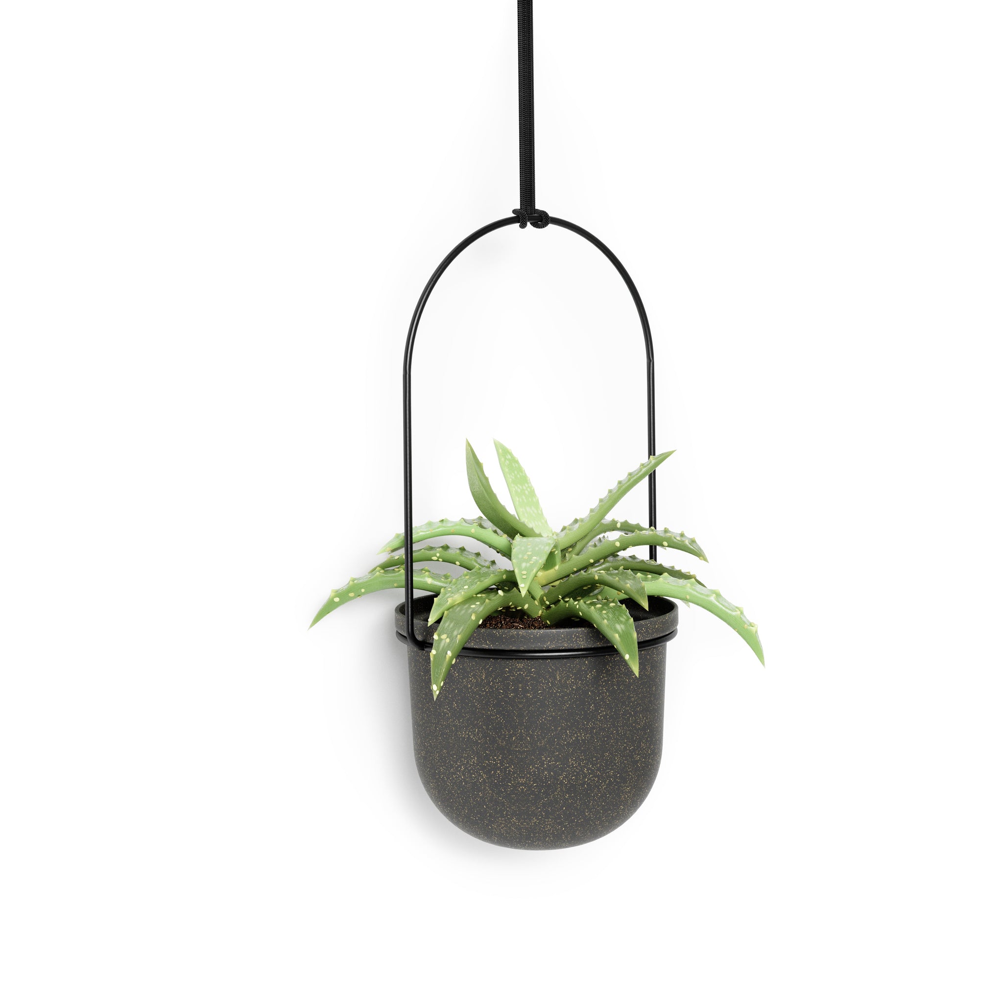 umbra hanging planter Triflora Hanging Planter (Set of 5)