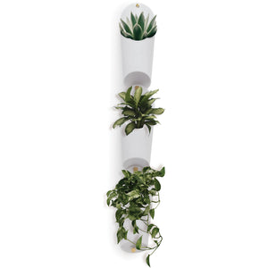 Floralink Wall Vessels (Set of 3)