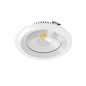 High Powered Led Commercial Down Light