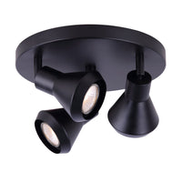 Canarm Byck Flush Mount