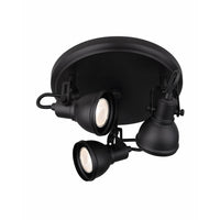 Canarm Polo Flush Mount