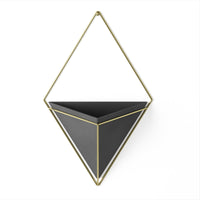 Trigg Wall Display