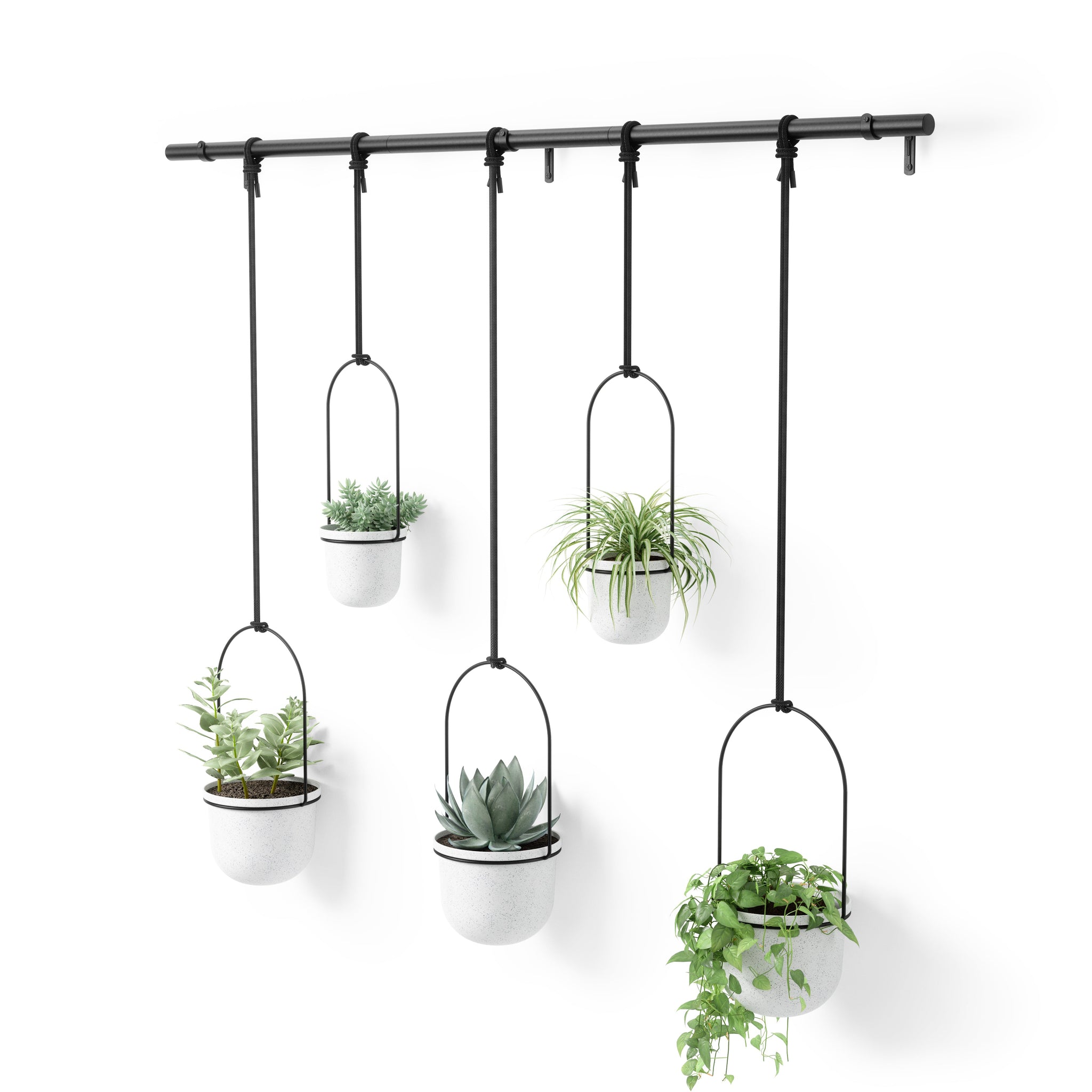 Triflora Hanging Planter (Set of 5)